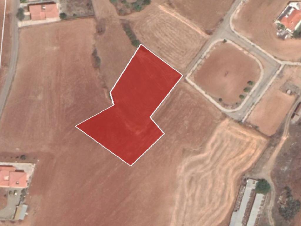 Field-Paleometocho-PR32941