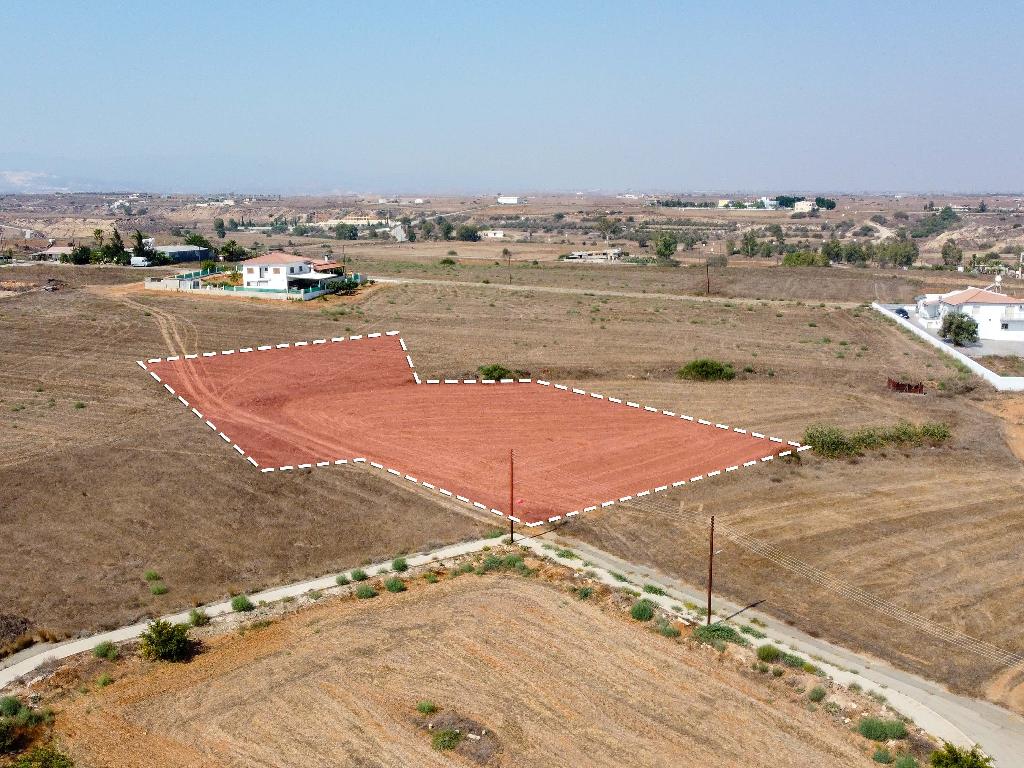 Field-Paleometocho-PR32941