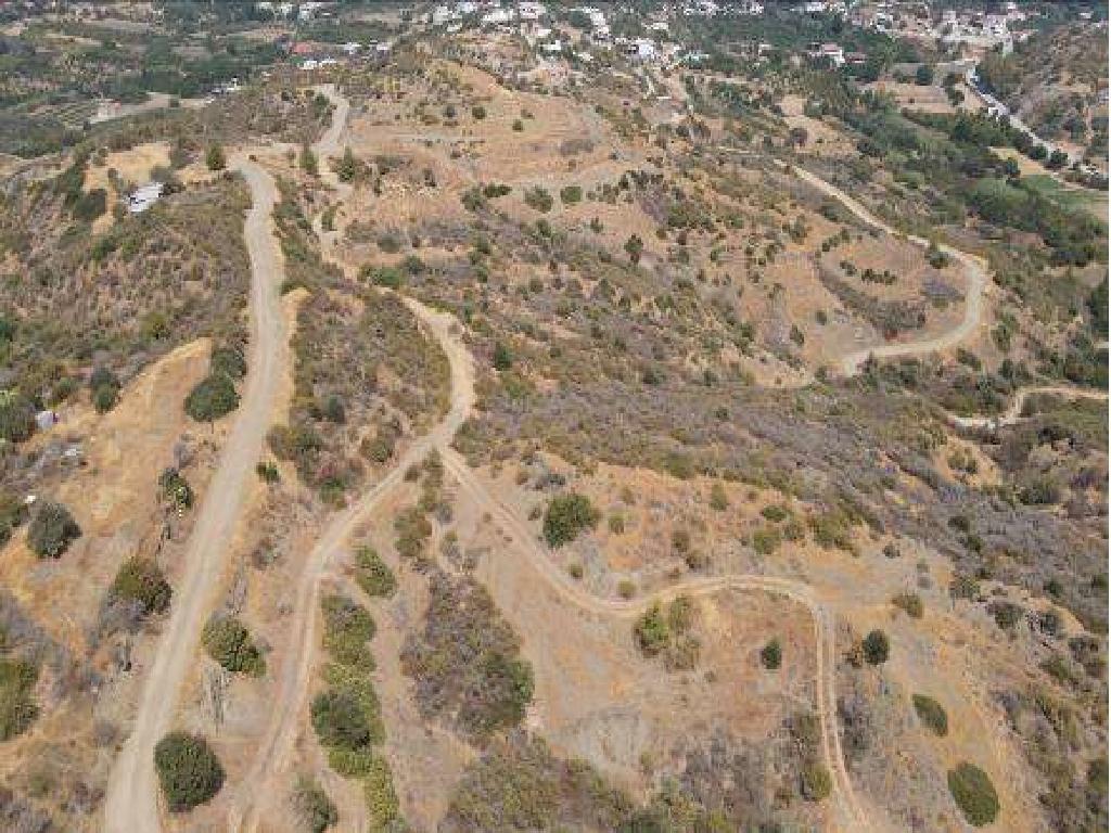 Field - Kato Pyrgos, Nicosia