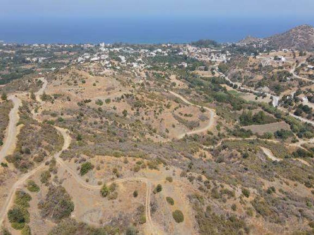 Field - Kato Pyrgos, Nicosia