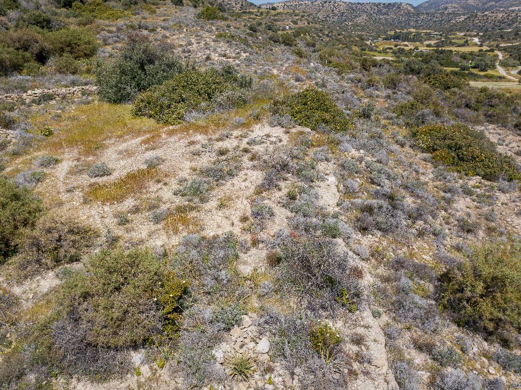 Field-Agios Athanasios-PR34817