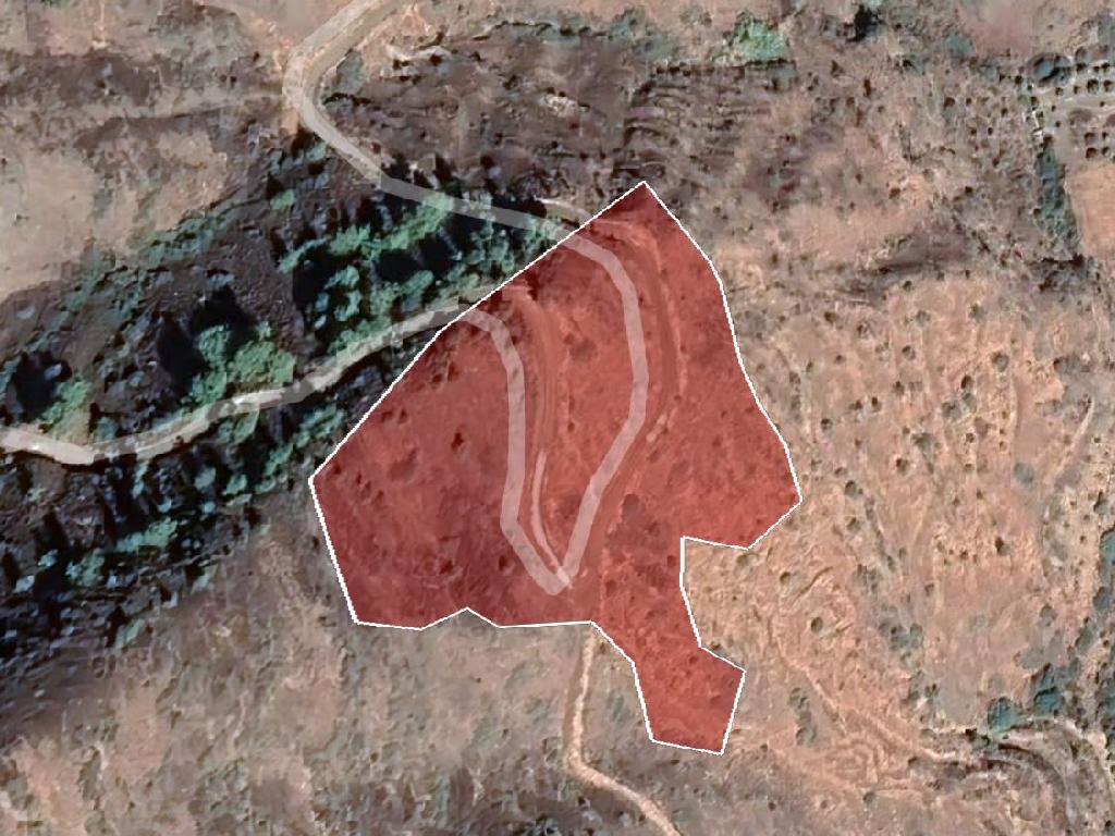 Field-Pigenia-PR34582