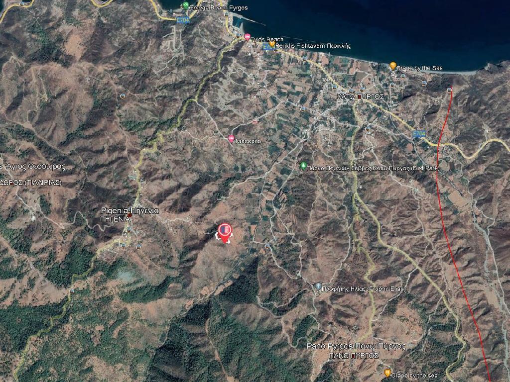 Field-Pigenia-PR34582