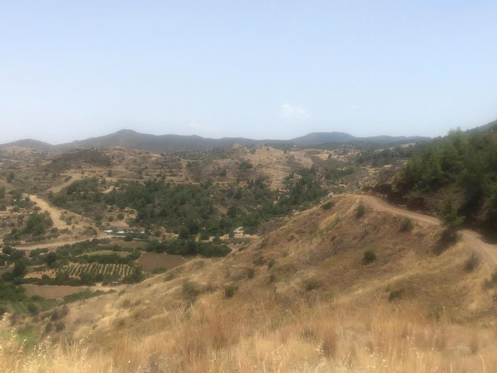 Field-Pigenia-PR34582