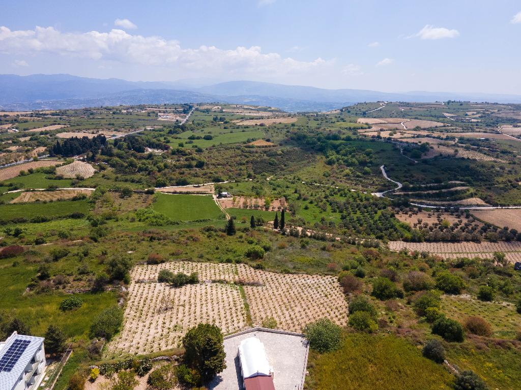 Field (Share) - Kathikas, Paphos