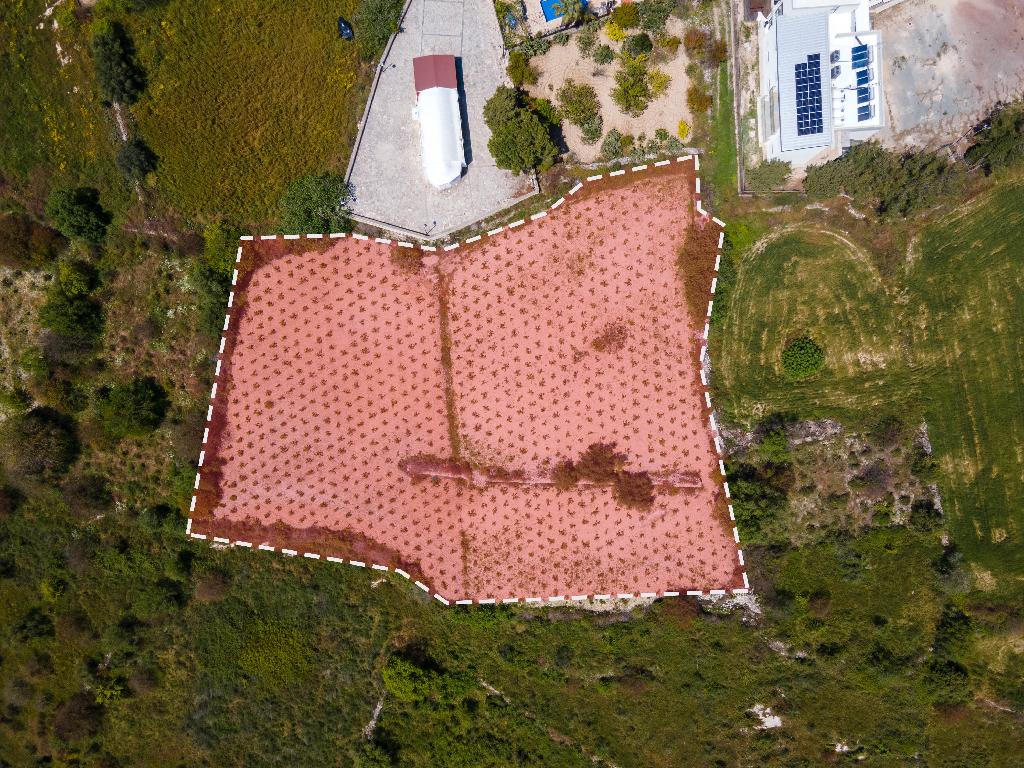 Field (Share) - Kathikas, Paphos