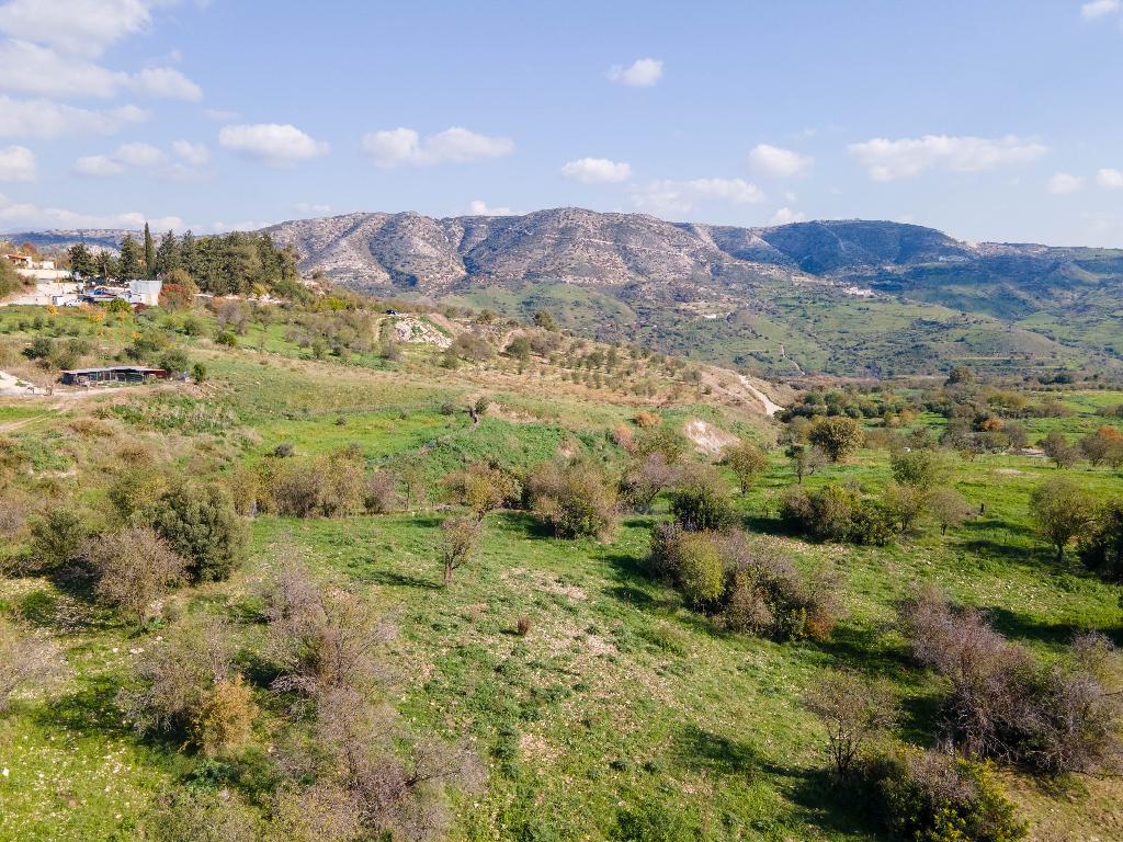 Field-Episkopi-PR37490