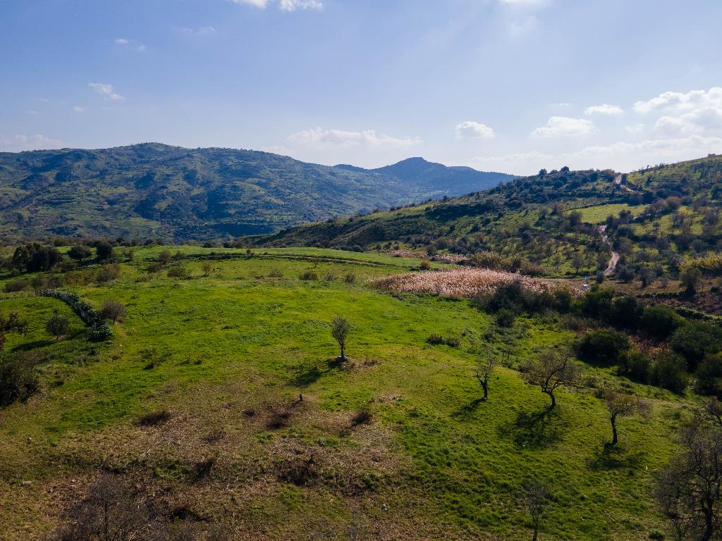 Field-Episkopi-PR37490