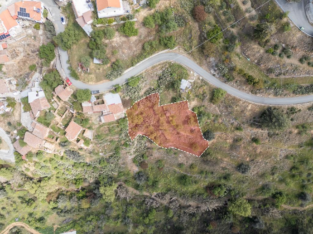 Field-Gourri-PR37439