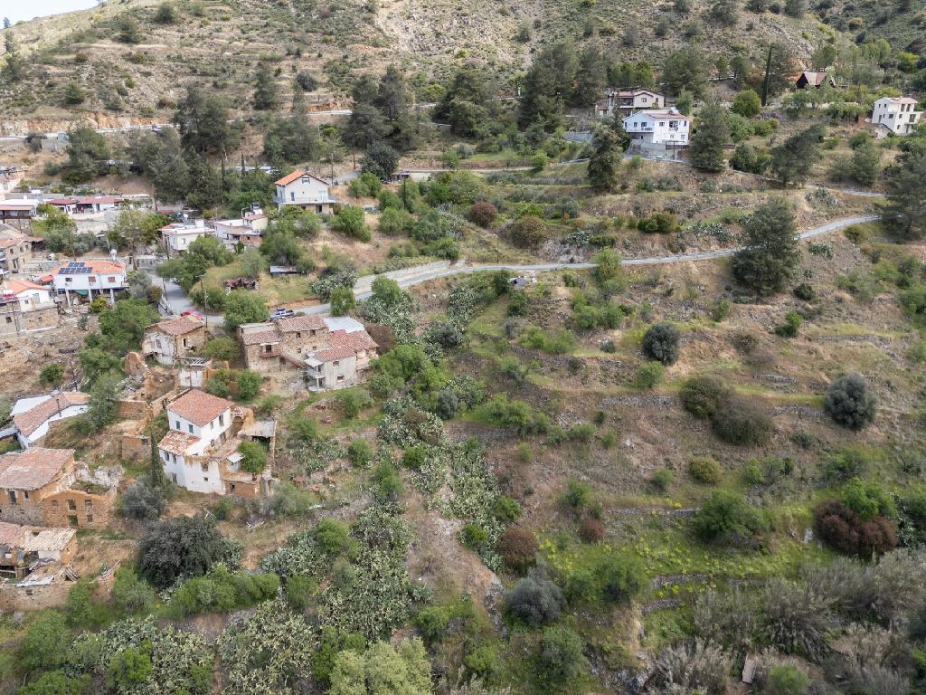 Field-Gourri-PR37439
