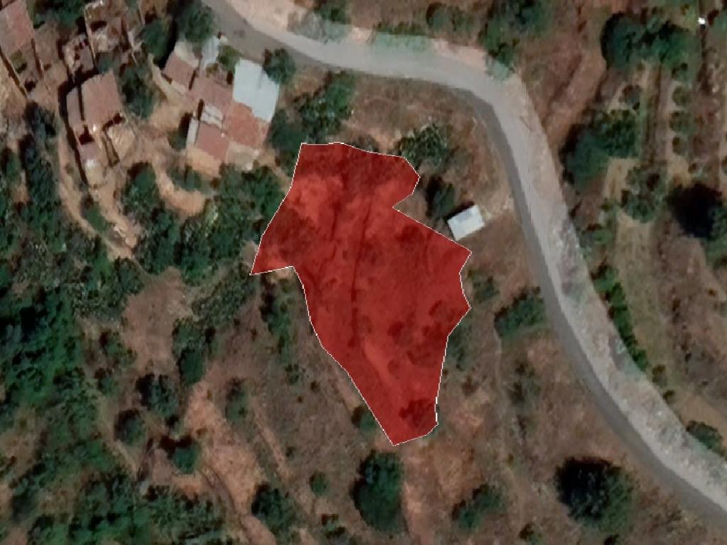 Field-Gourri-PR37439