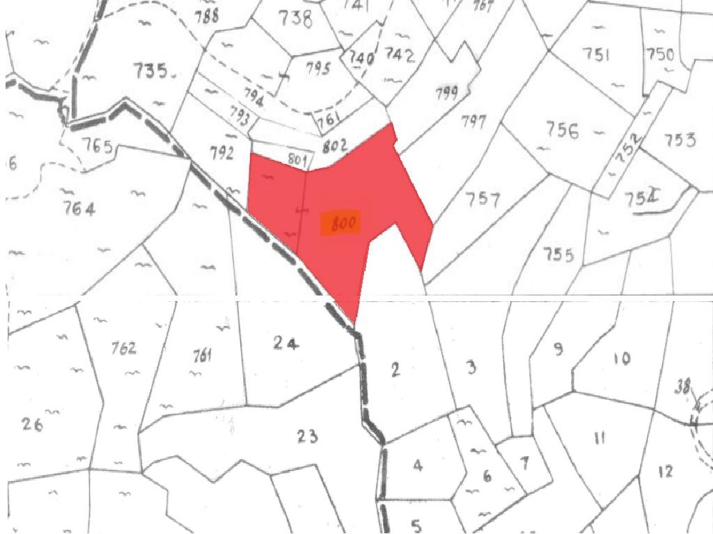 Field-Agios Theodoros-PR37918