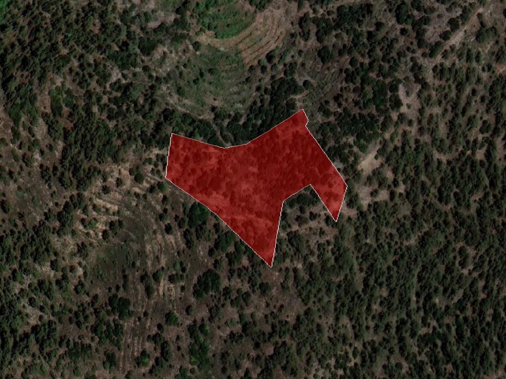 Field-Agios Theodoros-PR37918