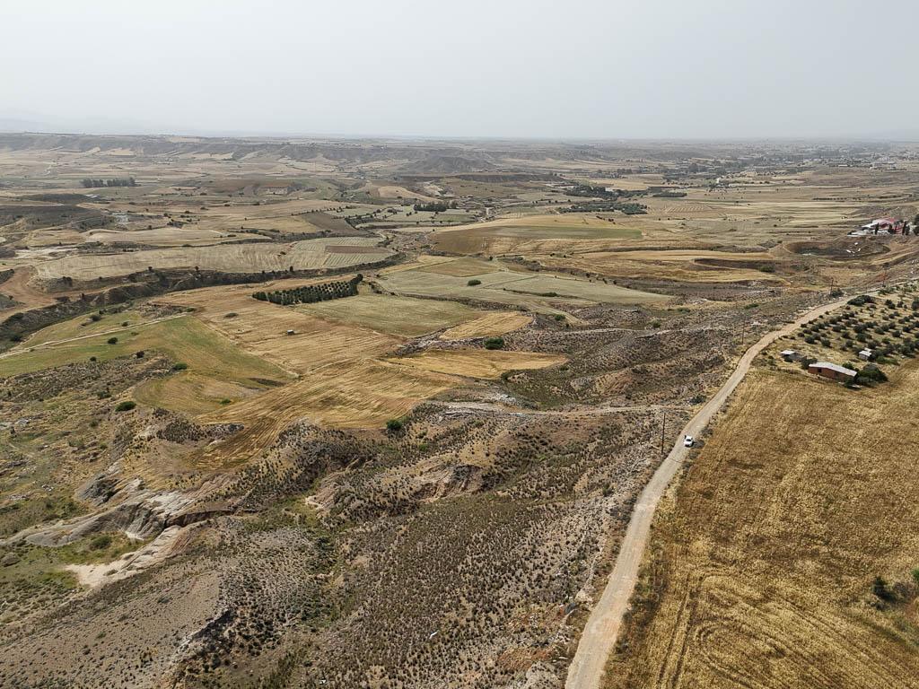 Field-Pano Deftera-PR39326