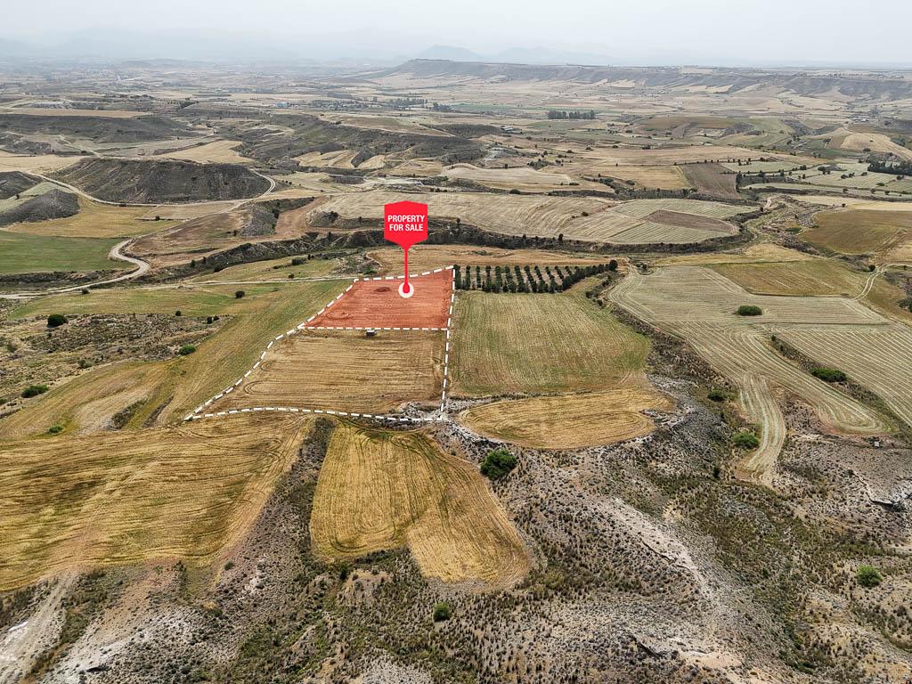Field-Pano Deftera-PR39326