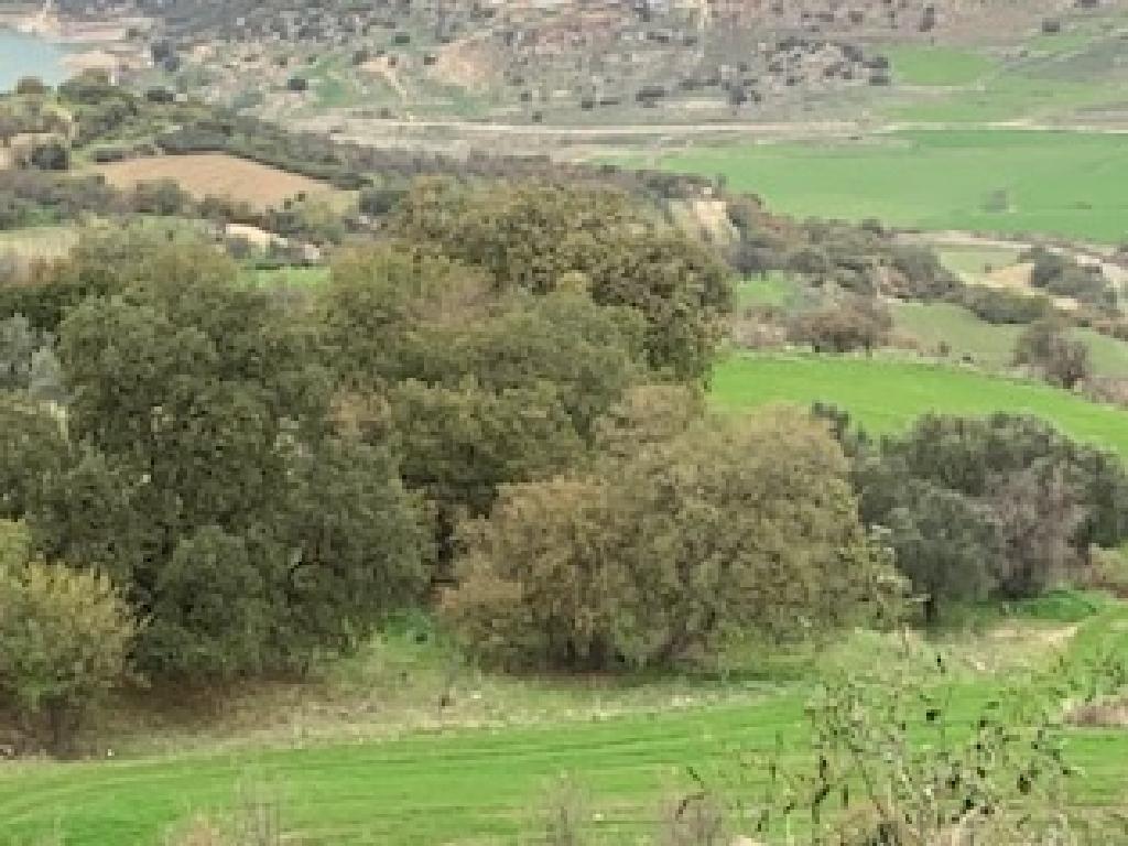 Field-Simou-PR39408
