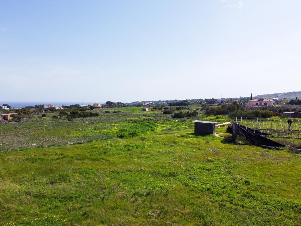 Field - Paralimni, Famagusta