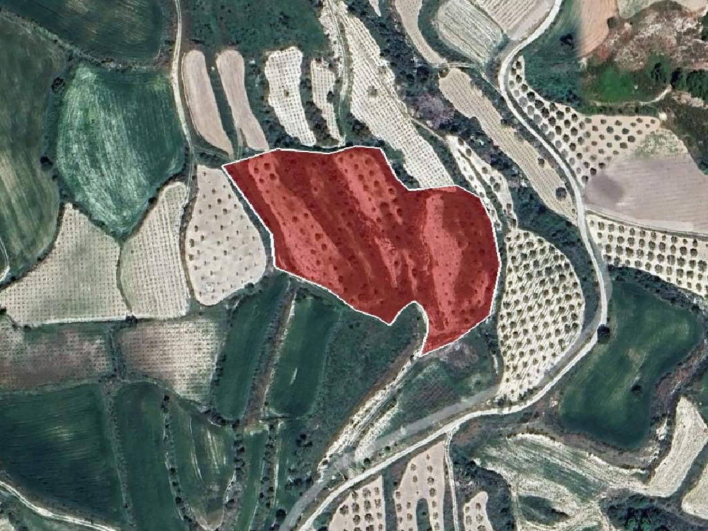 Field-Stroumpi-PR40489