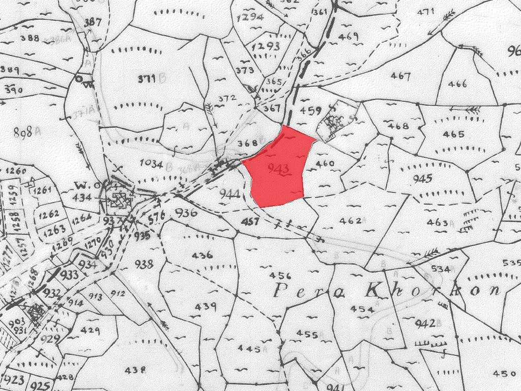 Field-Kakopetria-PR40874