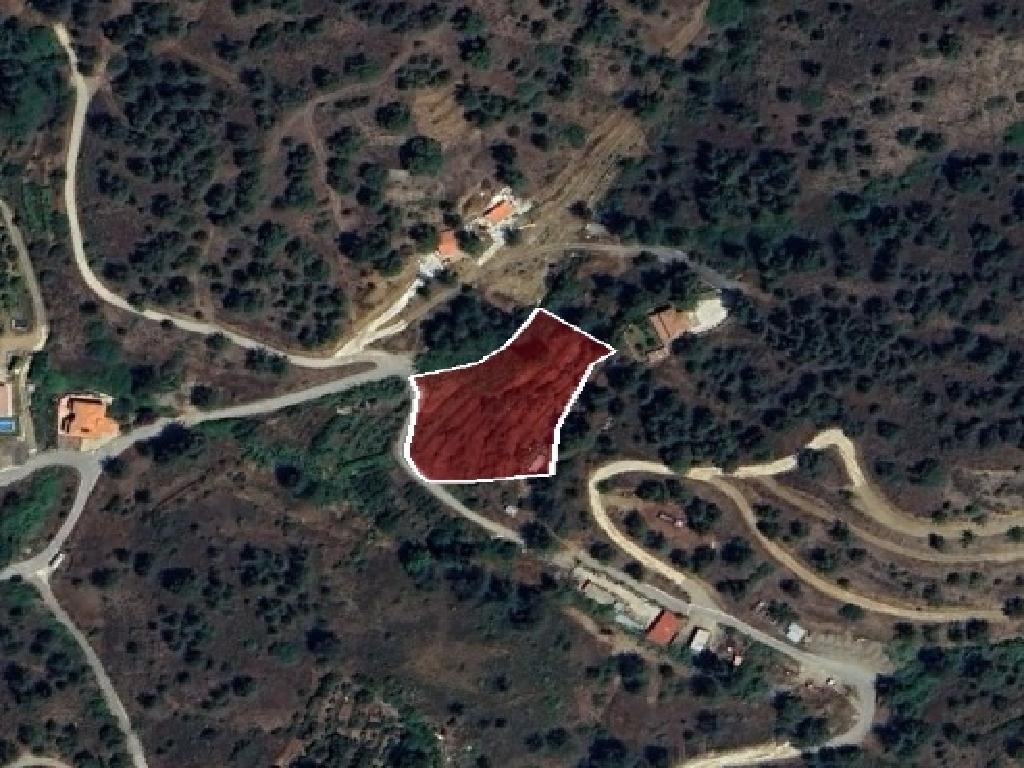 Field-Kakopetria-PR40874