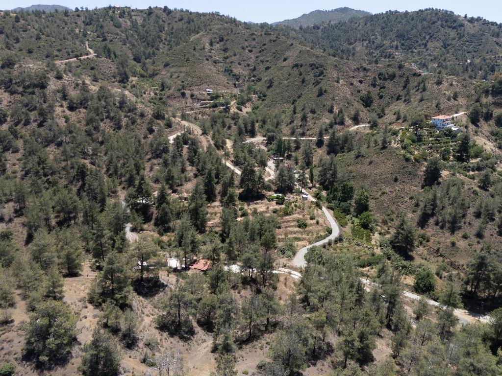 Field-Kakopetria-PR40874