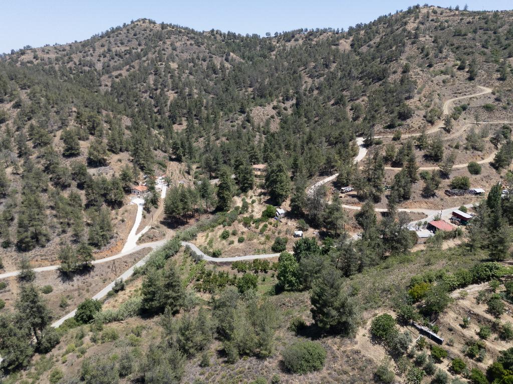 Field-Kakopetria-PR40874