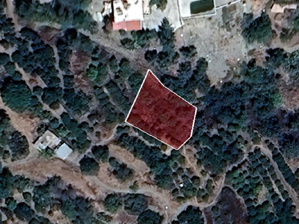Field-Dierona-PR41230