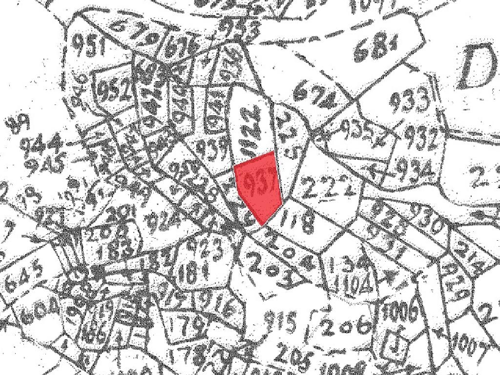 Field-Dierona-PR41230