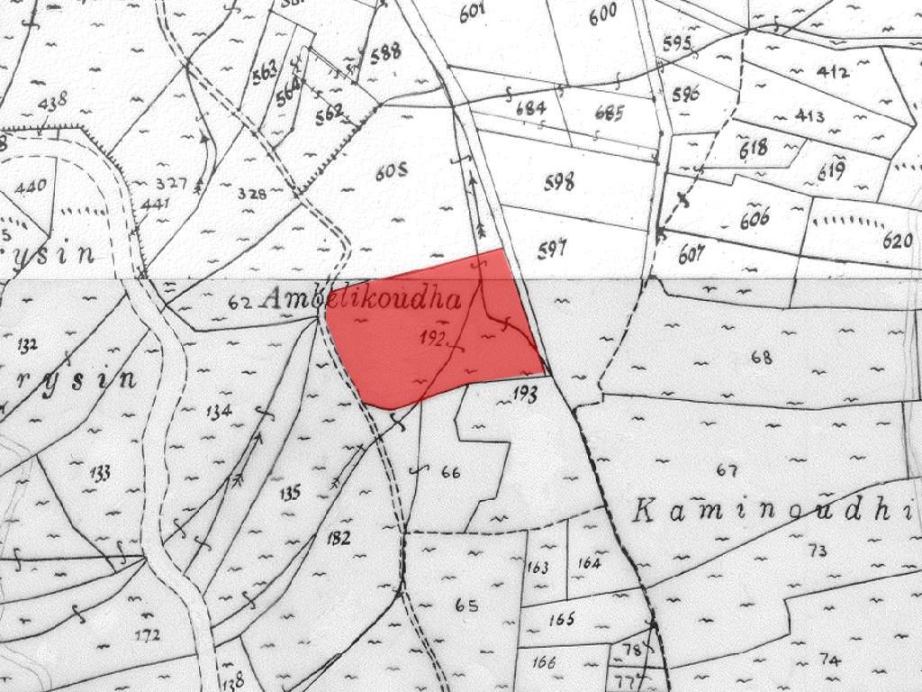 Field-Tsakistra-PR41345