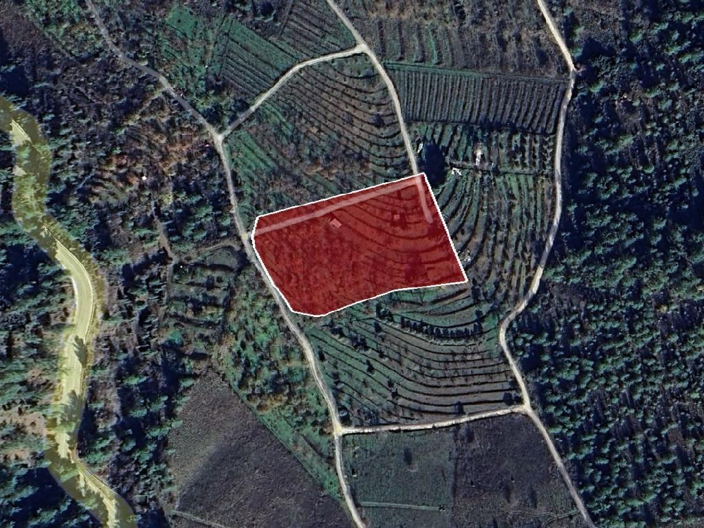 Field-Tsakistra-PR41345