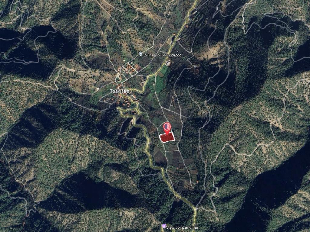 Field-Tsakistra-PR41345