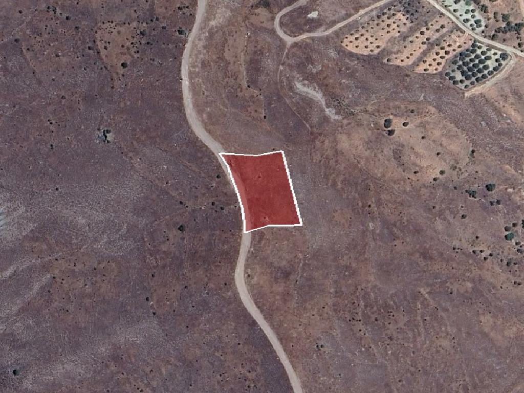 Field-Koilinia-PR41426
