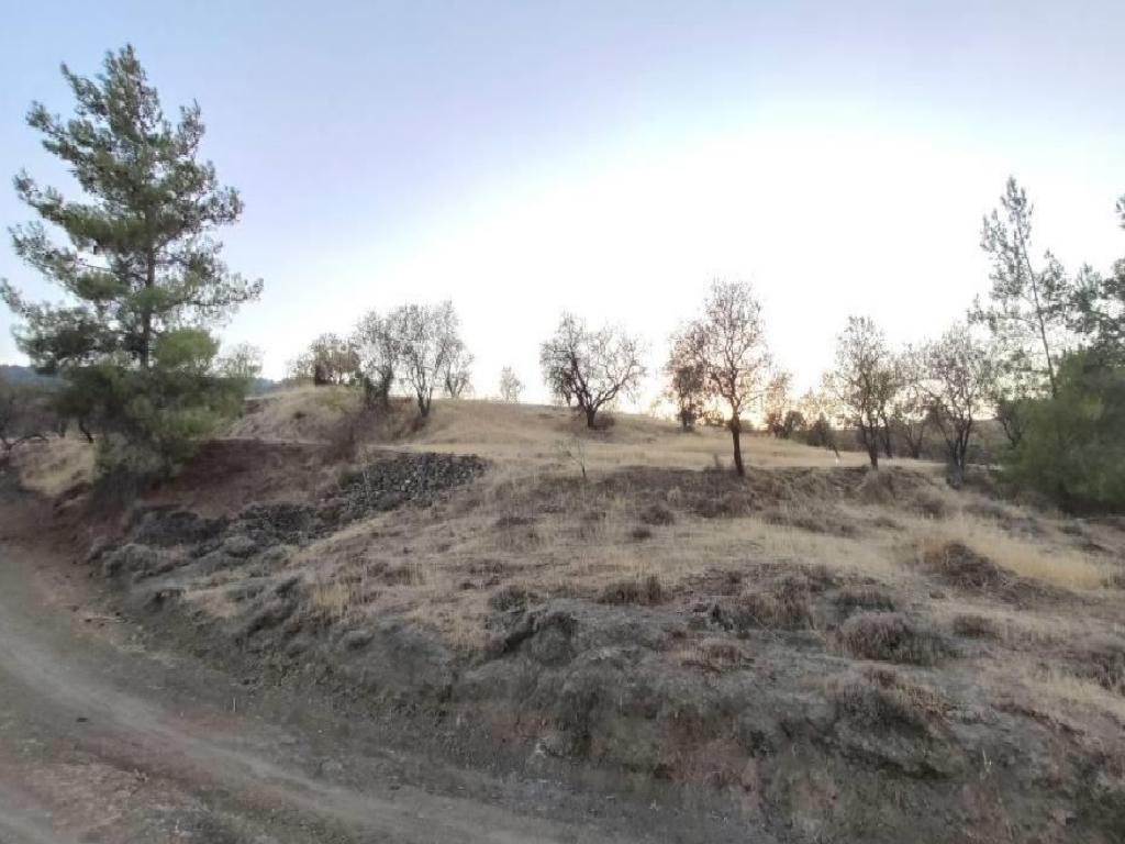 Field-Agios Georgios (Kafkallou)-CP10117