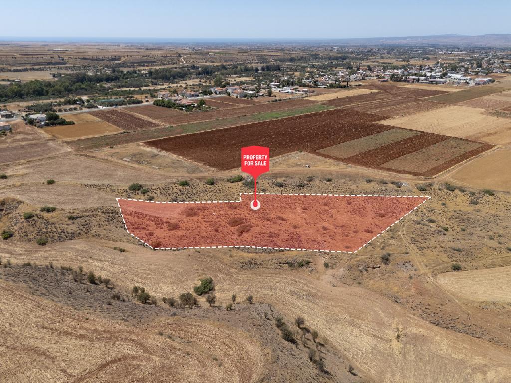 Field-Orounta-PR43031