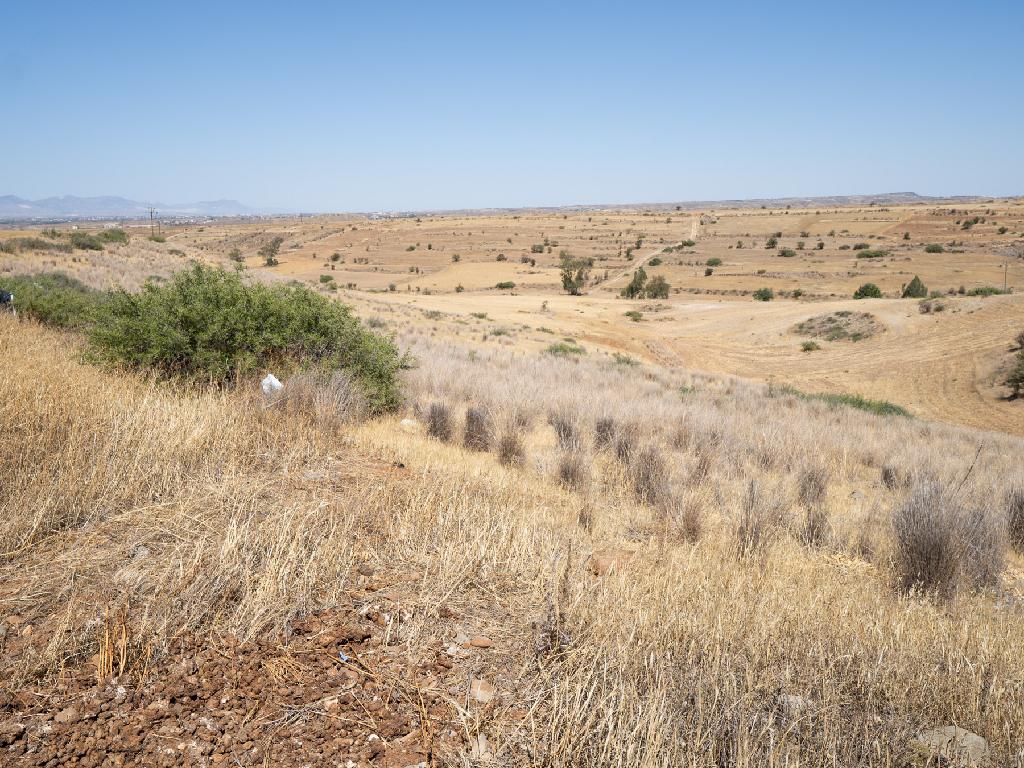 Field-Orounta-PR43031