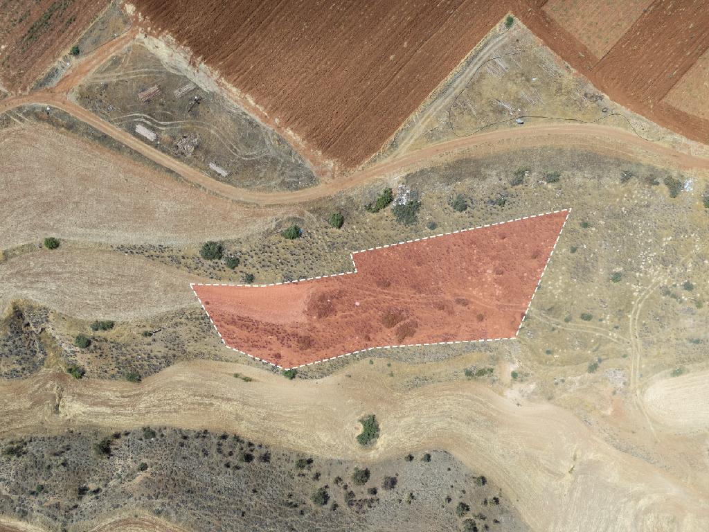 Field-Orounta-PR43031