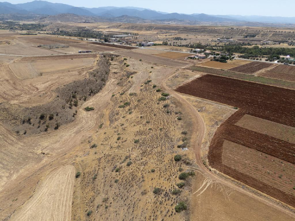 Field-Orounta-PR43031