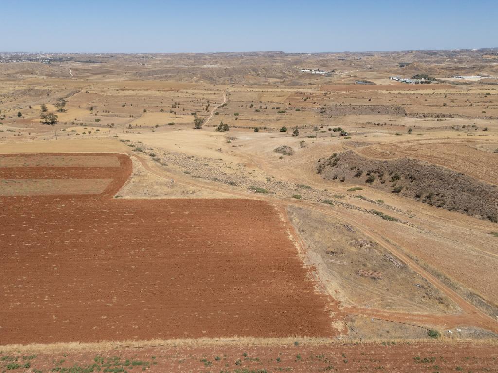 Field-Orounta-PR43031