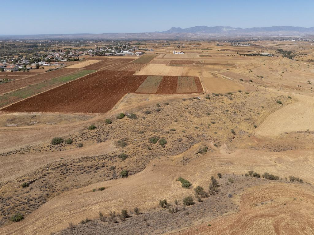 Field-Orounta-PR43031