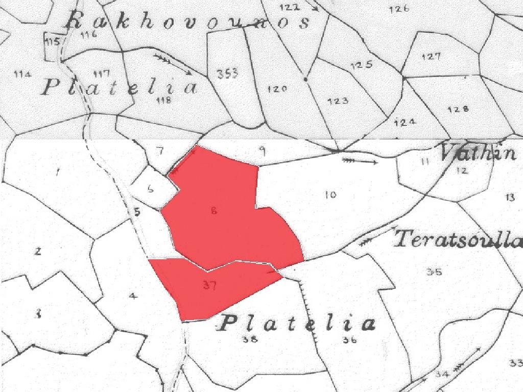 Field-Pigenia-CP10173