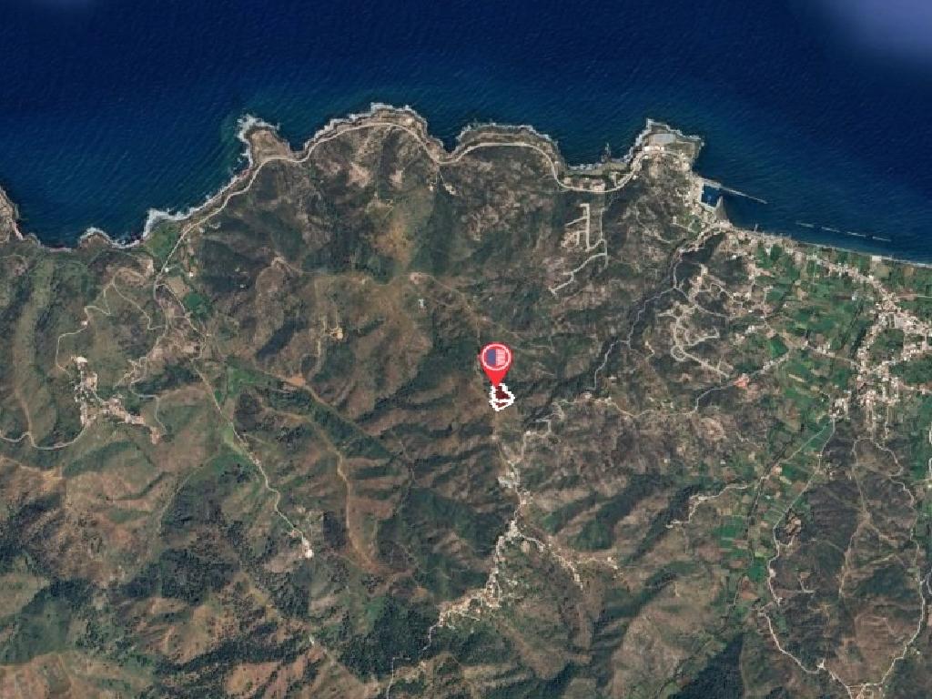 Field-Pigenia-CP10173