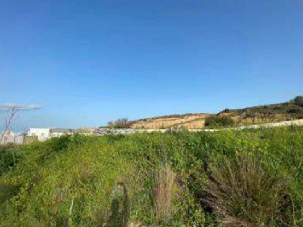 Field - Nisou, Nicosia