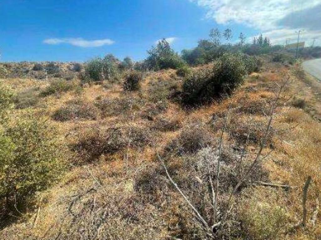 Field - Nisou, Nicosia