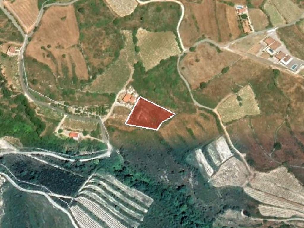 Field-Kathikas-PR12487