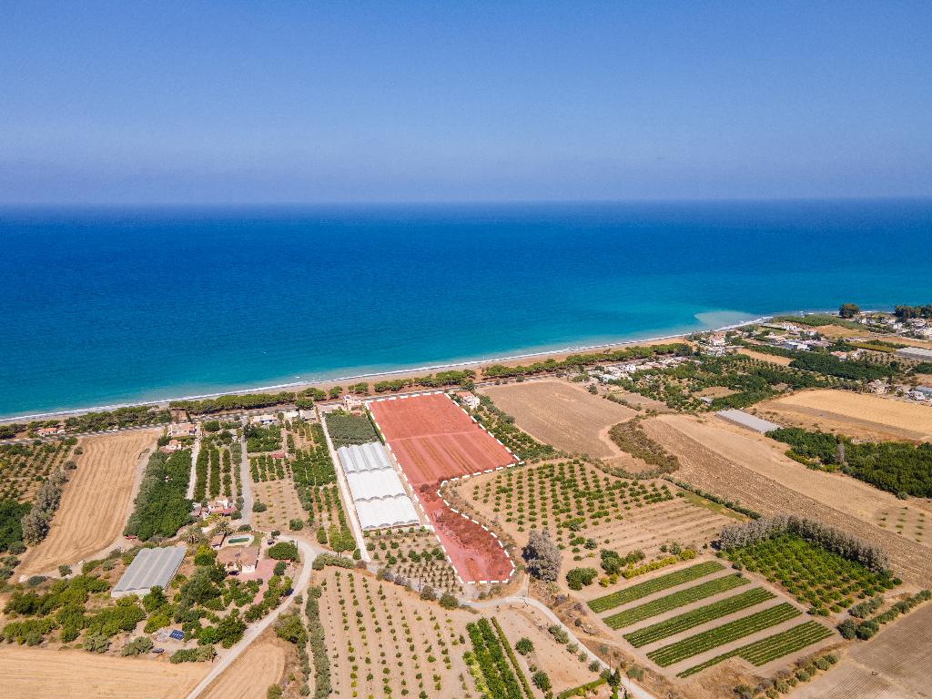 Beachfront Field - Polis Chrysochous, Paphos