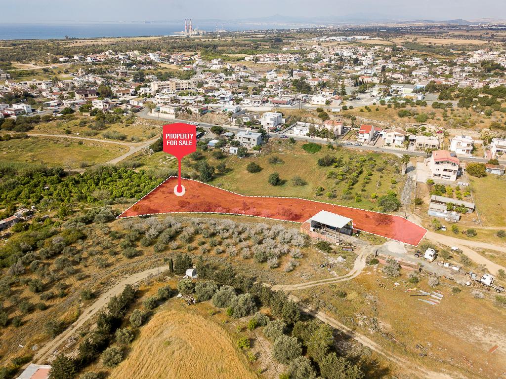 Field-Ormideia-PR13434