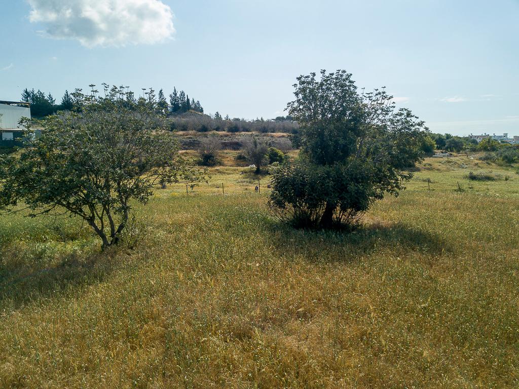 Field-Ormideia-PR13434