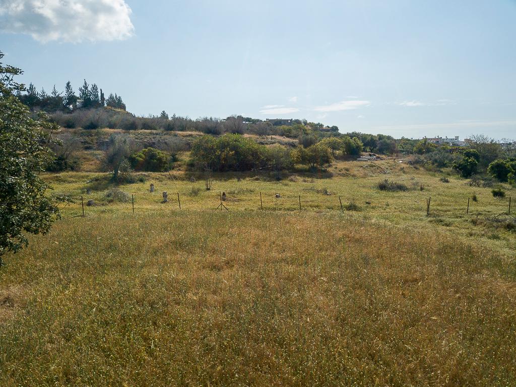Field-Ormideia-PR13434