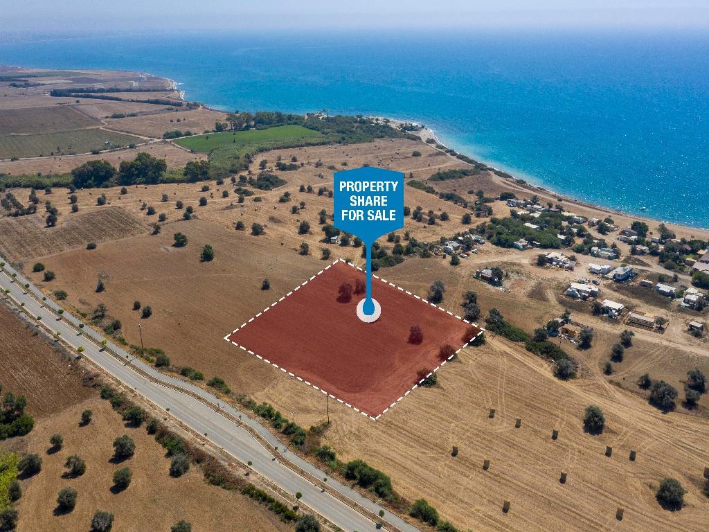 Field (Share) - Mazotos, Larnaca