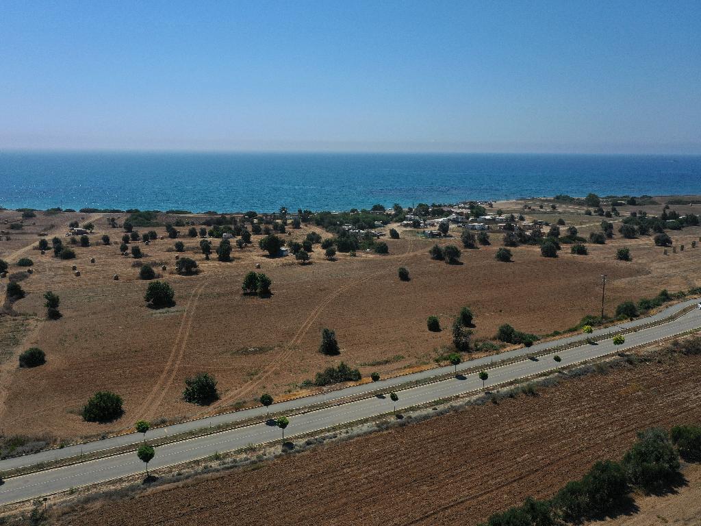 Field (Share) - Mazotos, Larnaca